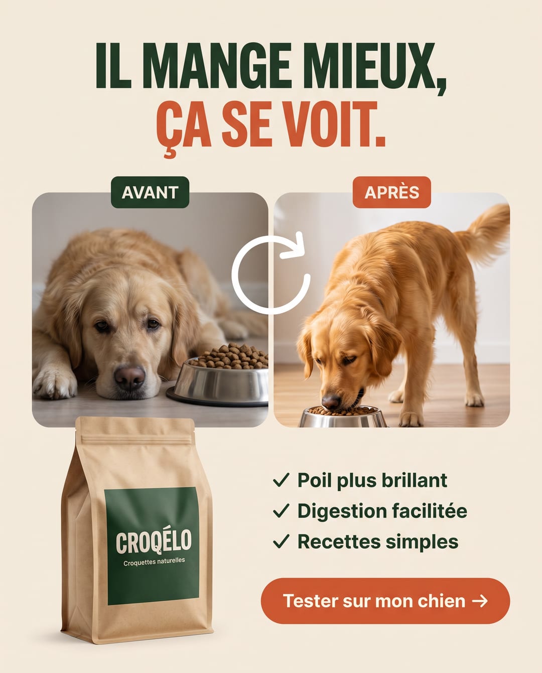 Pub avant / après pour des croquettes : « Il mange mieux, ça se voit. »